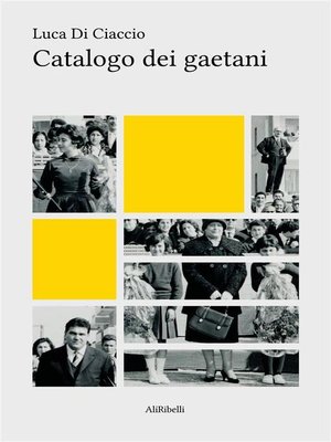 cover image of Catalogo dei gaetani